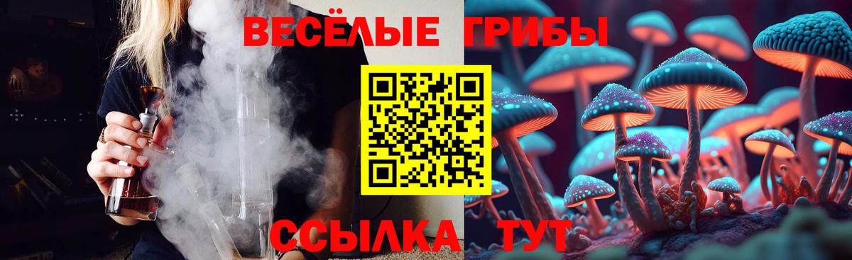 Галлюциногенные грибы прущие грибы  Вход с VPN  Великий Устюг 